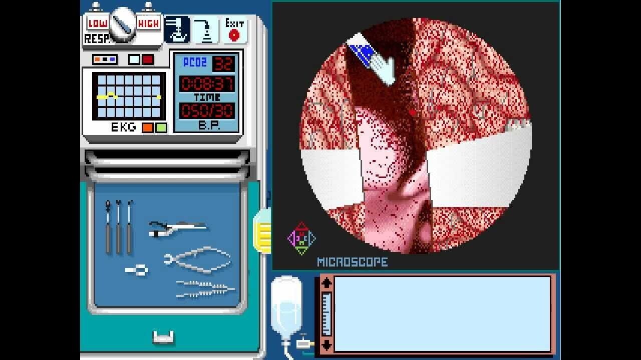 Life & Death II: The Brain