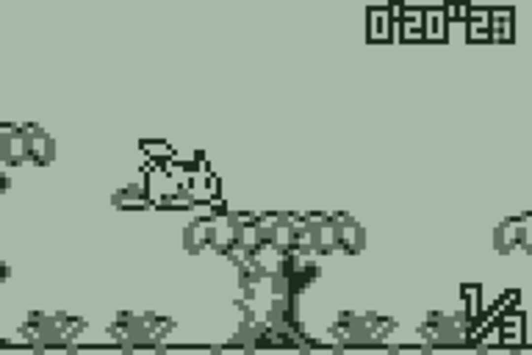 Pokémon Race Mini