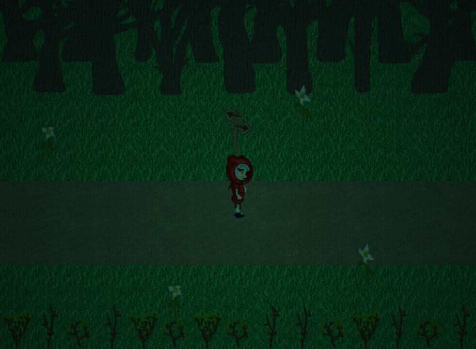 The Miserable Crimson Hooded Girl