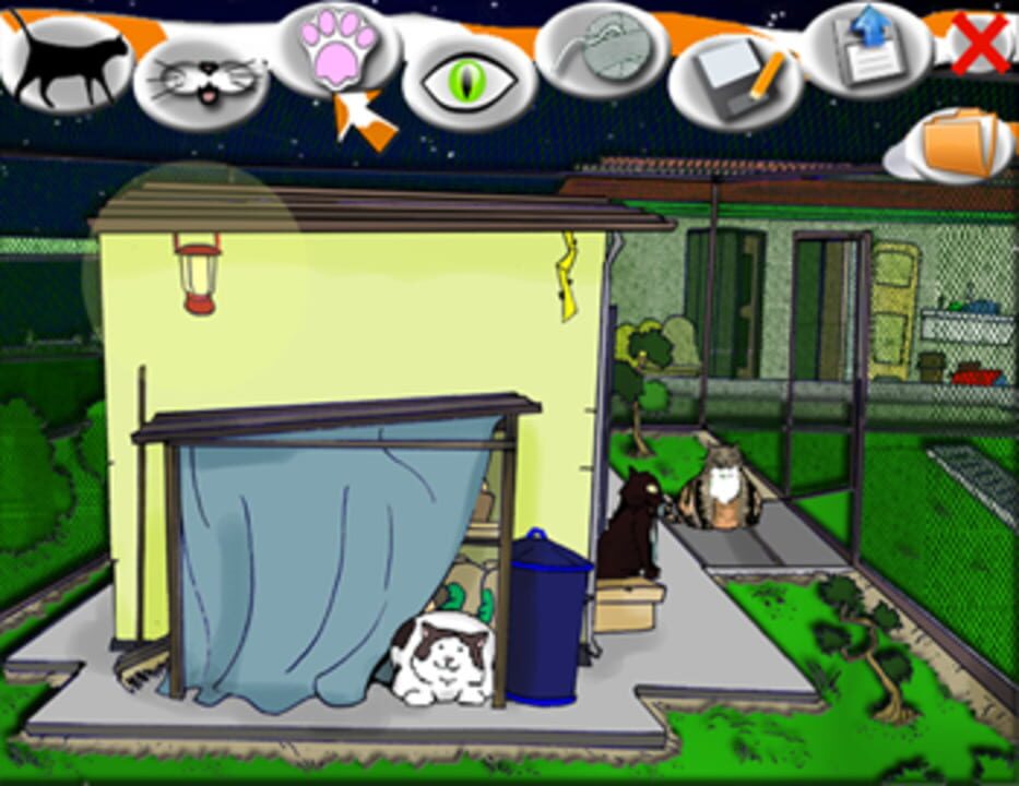 A Cat’s Night