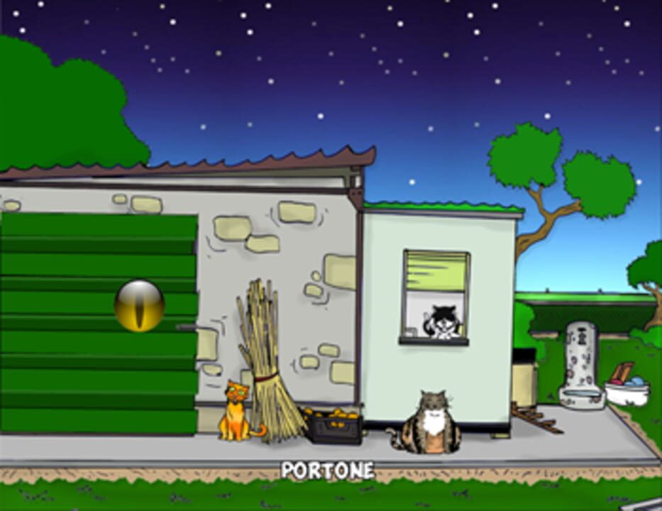 A Cat’s Night