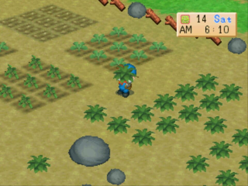 Harvest Moon: Back to Nature