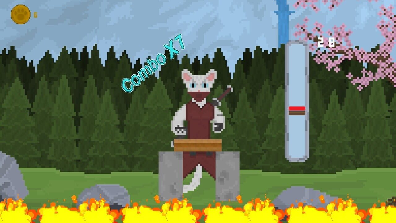 Karate Cat
