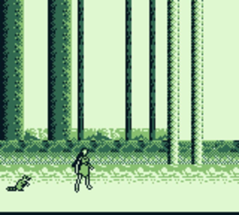 Disney’s Pocahontas