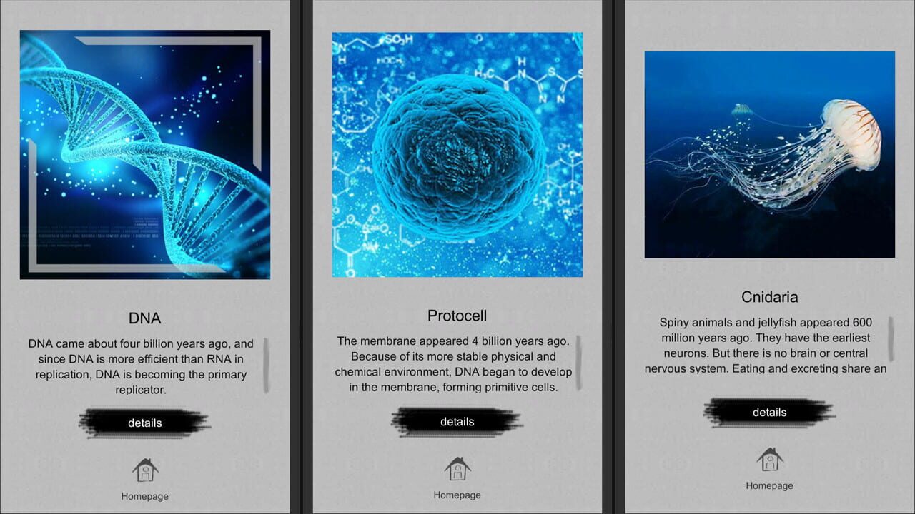 Jigsaw puzzle: Evolution