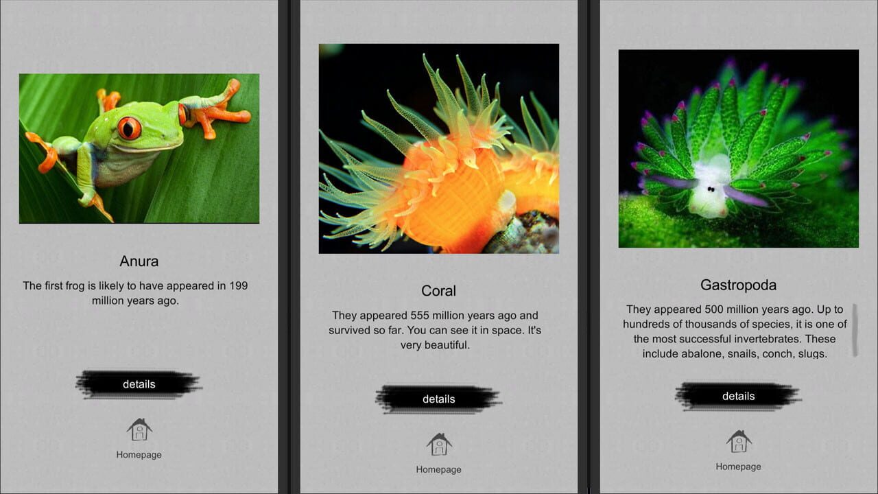 Jigsaw puzzle: Evolution