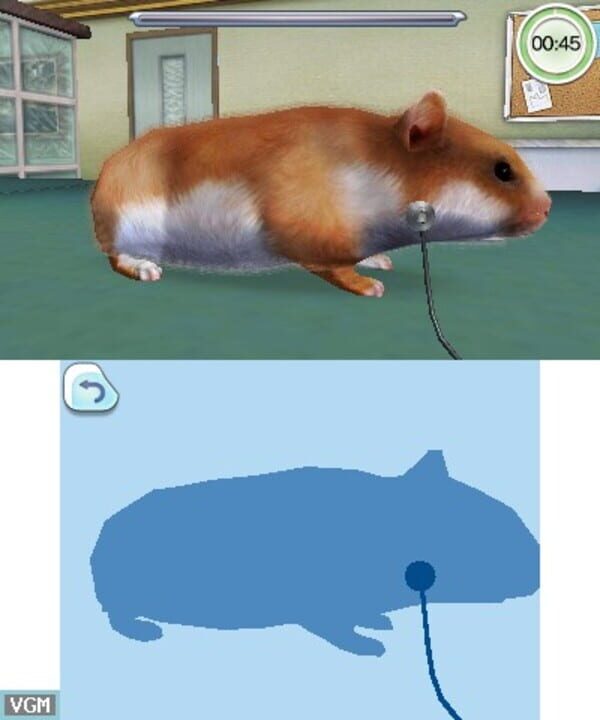 Animal Hospital