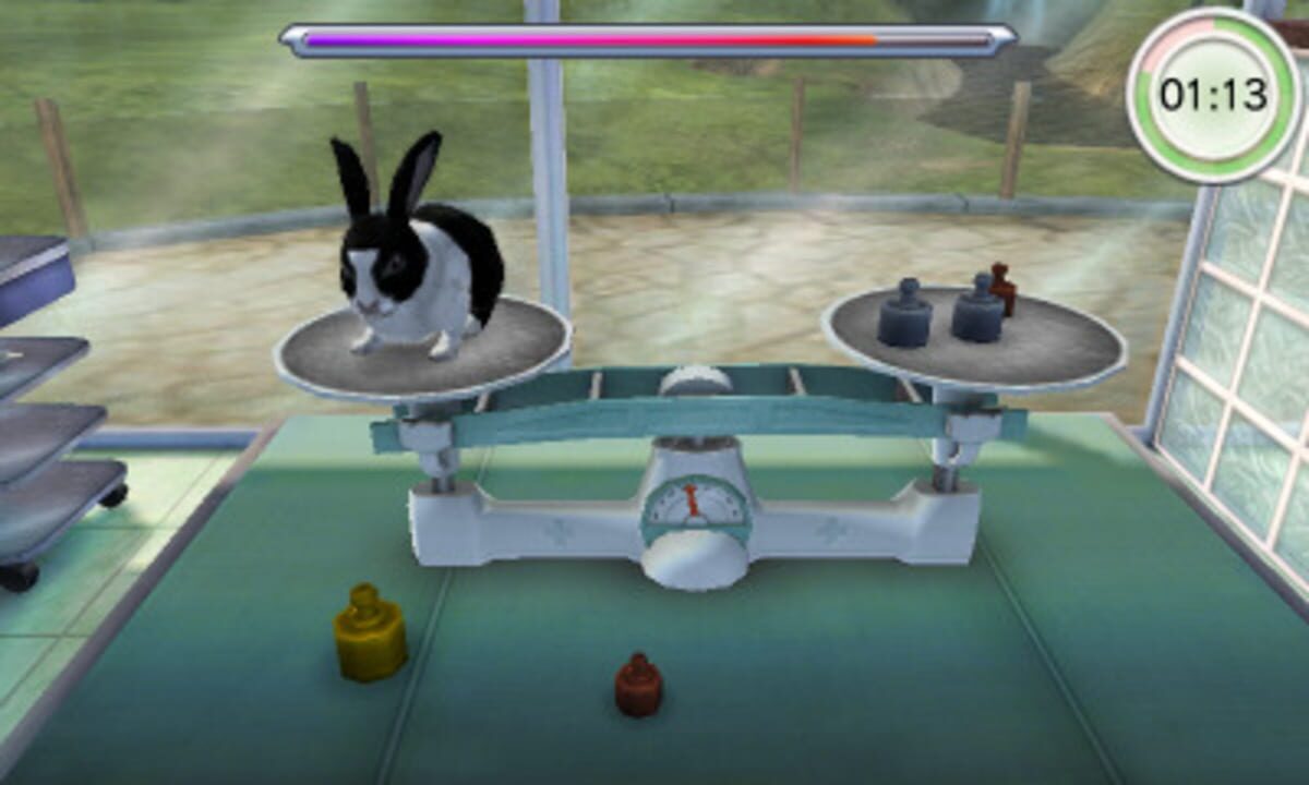 Animal Hospital