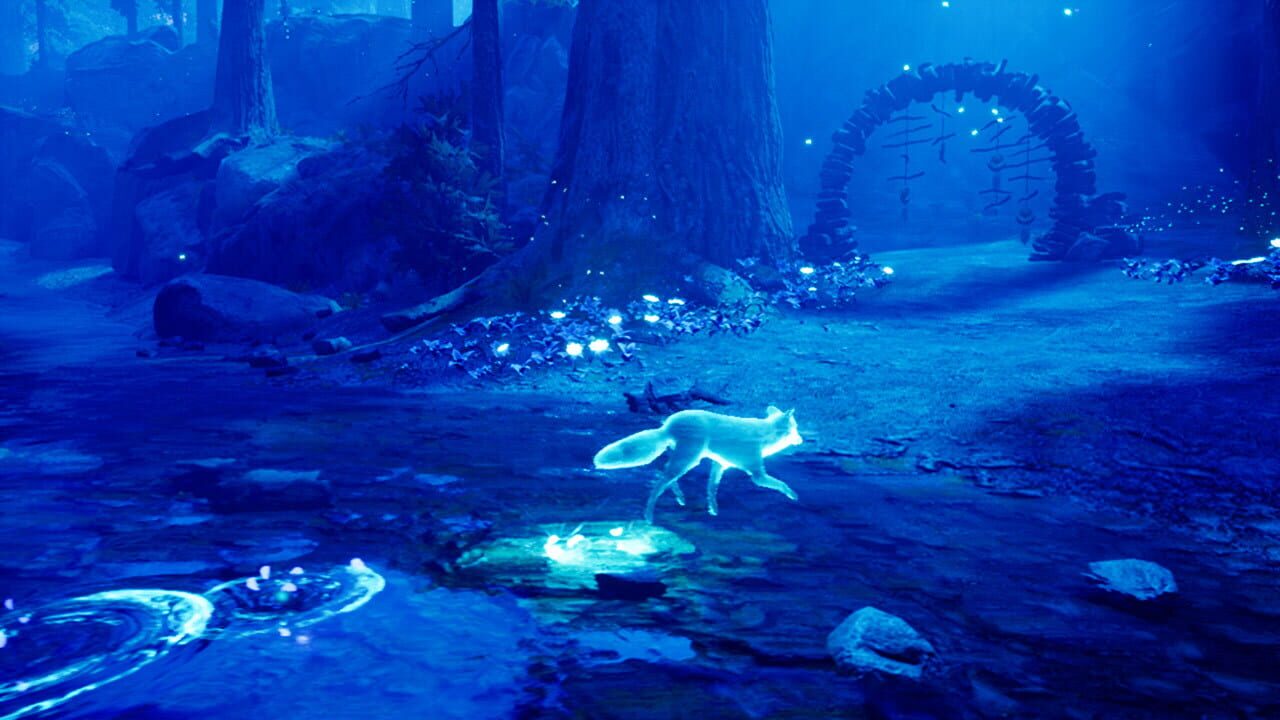 Spirit of the North