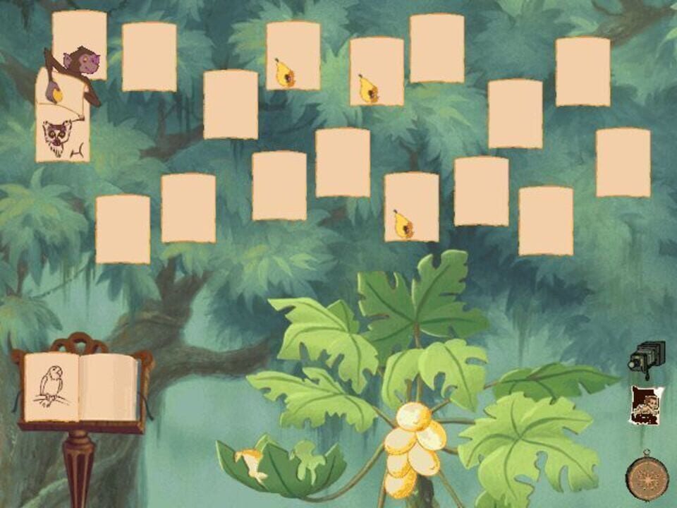 Disney’s Tarzan Activity Center