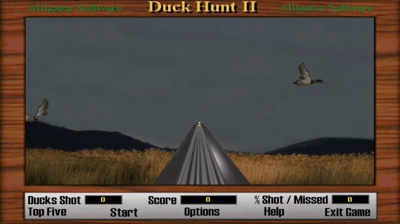 Duck Hunt 2