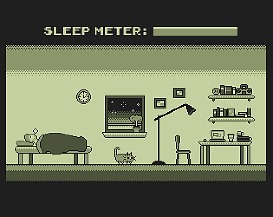 My Garbage Cat Wakes Me Up At 3AM Every Day