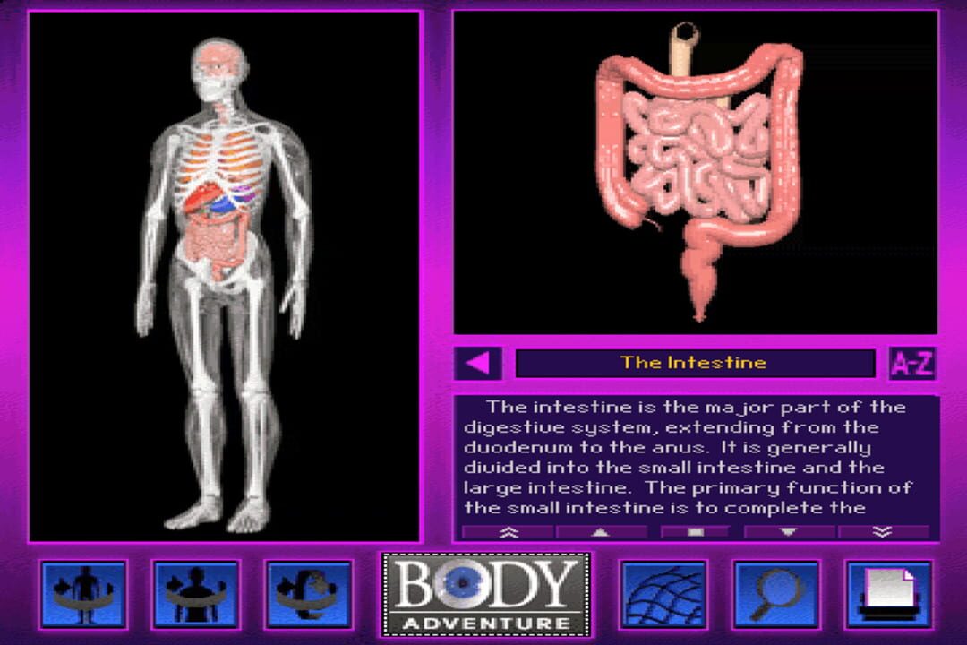 3-D Body Adventure