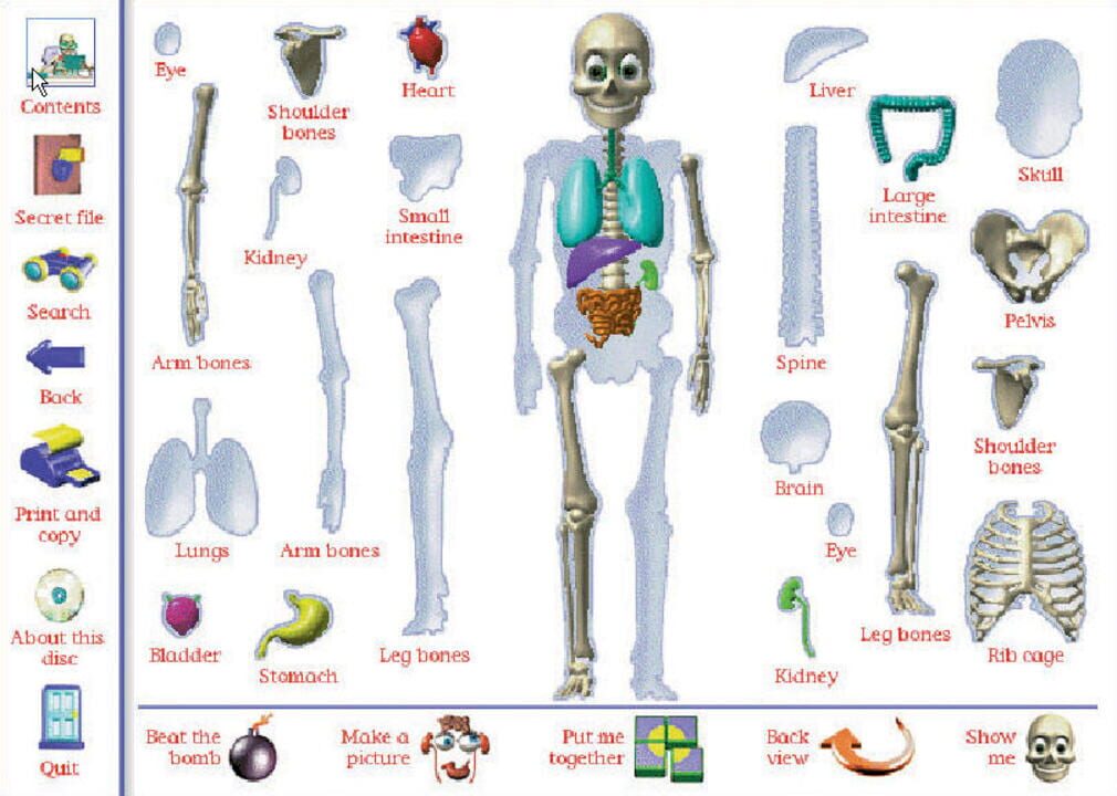 My Amazing Human Body