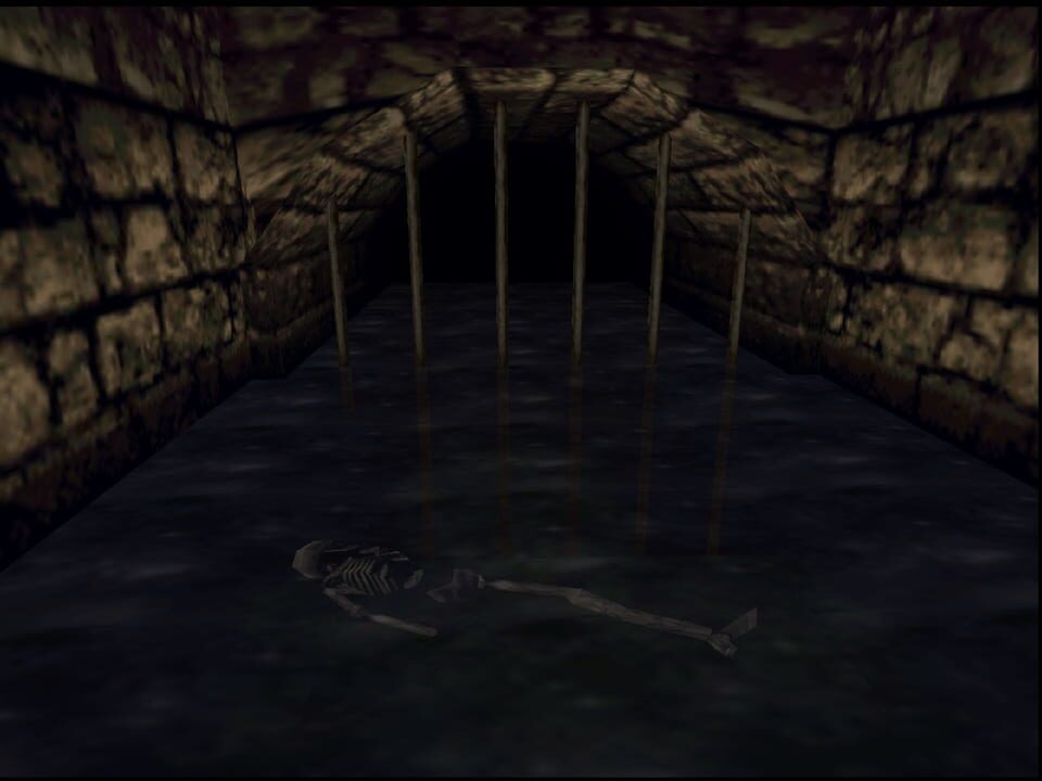 Shadowgate 64: Trials of the Four Towers