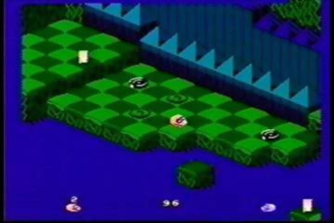 Snake Rattle ‘n’ Roll