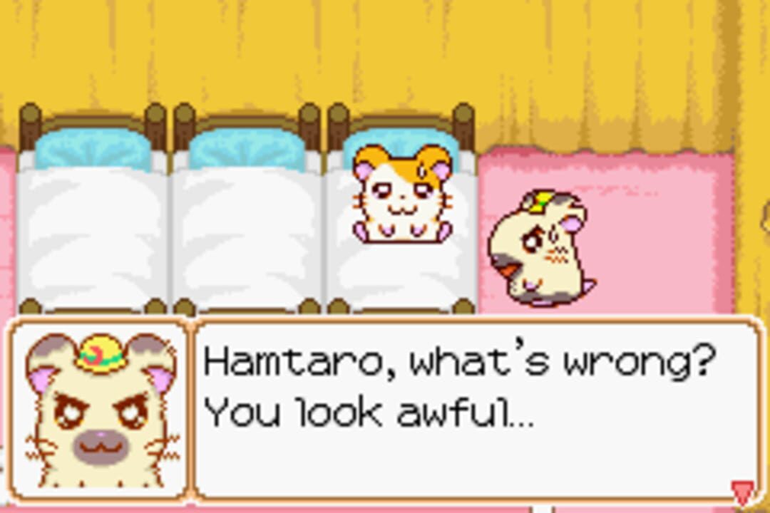 Hamtaro: Ham-Ham Heartbreak