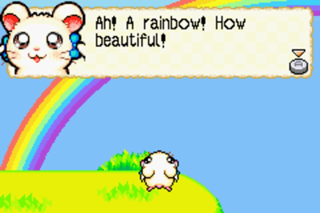 Hamtaro: Rainbow Rescue