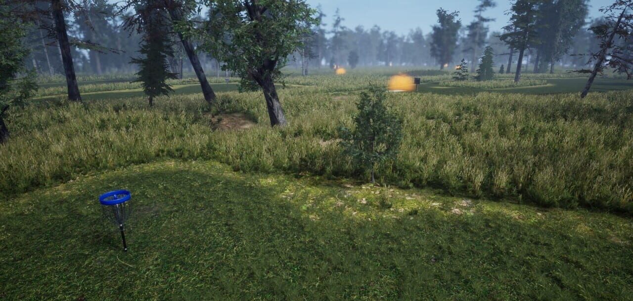 Ultimate Disc Golf