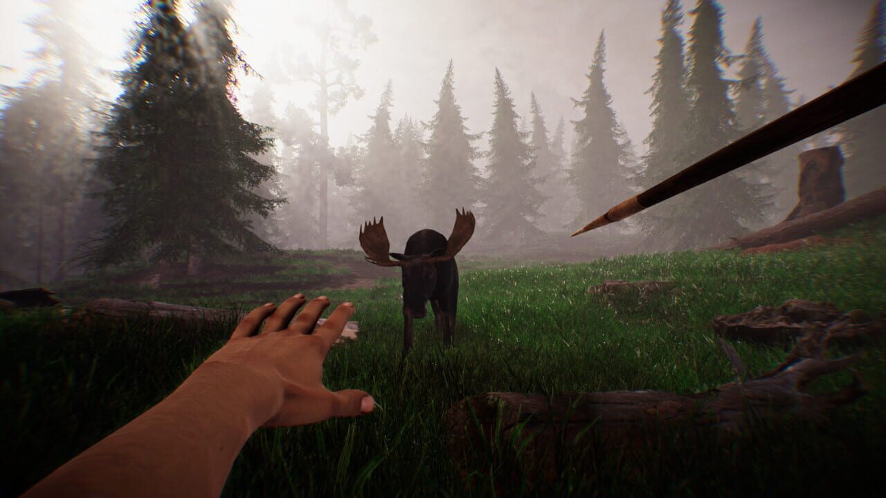 Primitive Hunter