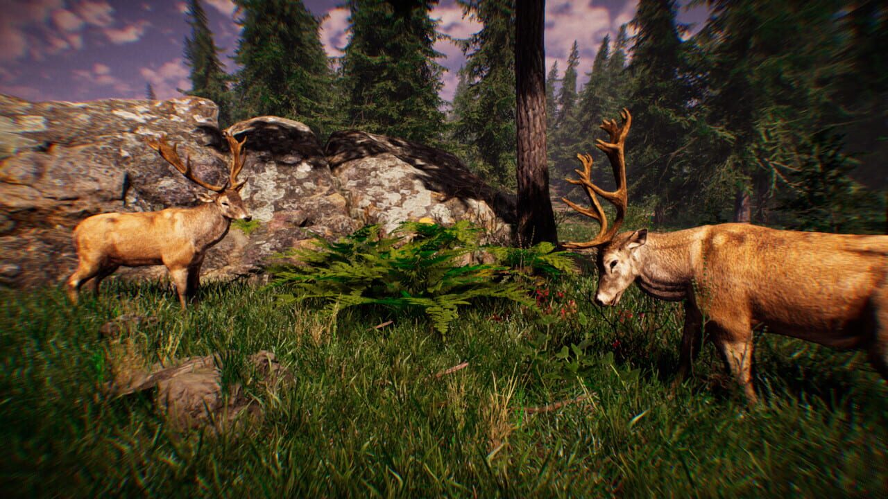 Primitive Hunter