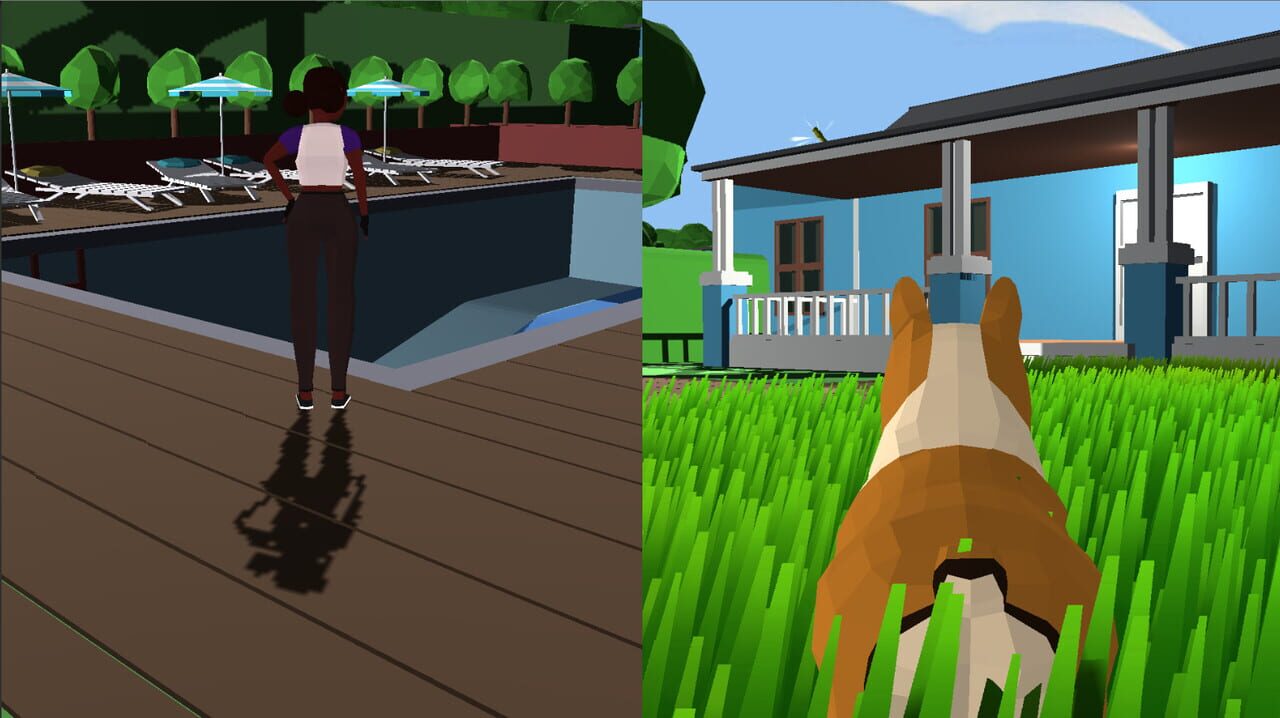 Kika & Daigo: A Curious Tale