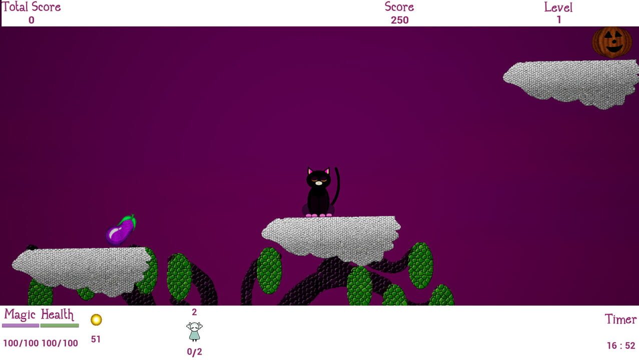 Black Cat Adventures