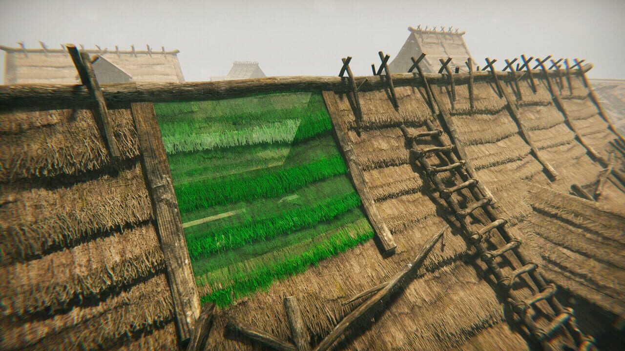 Medieval Frontiers