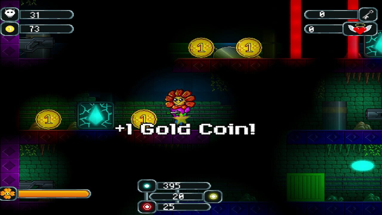 The Valley of Super Flowers