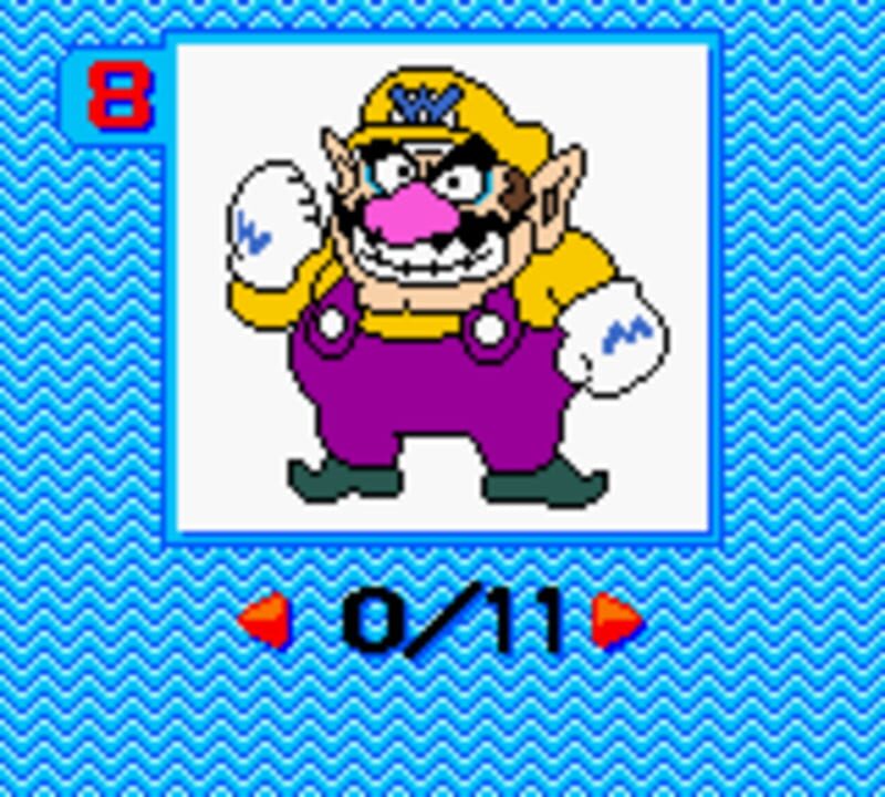 Mario Family