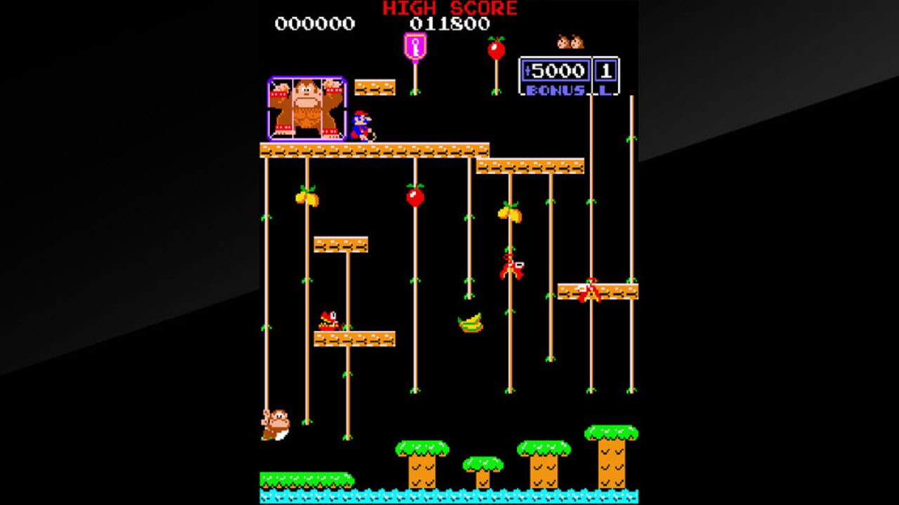 Arcade Archives: Donkey Kong Jr.