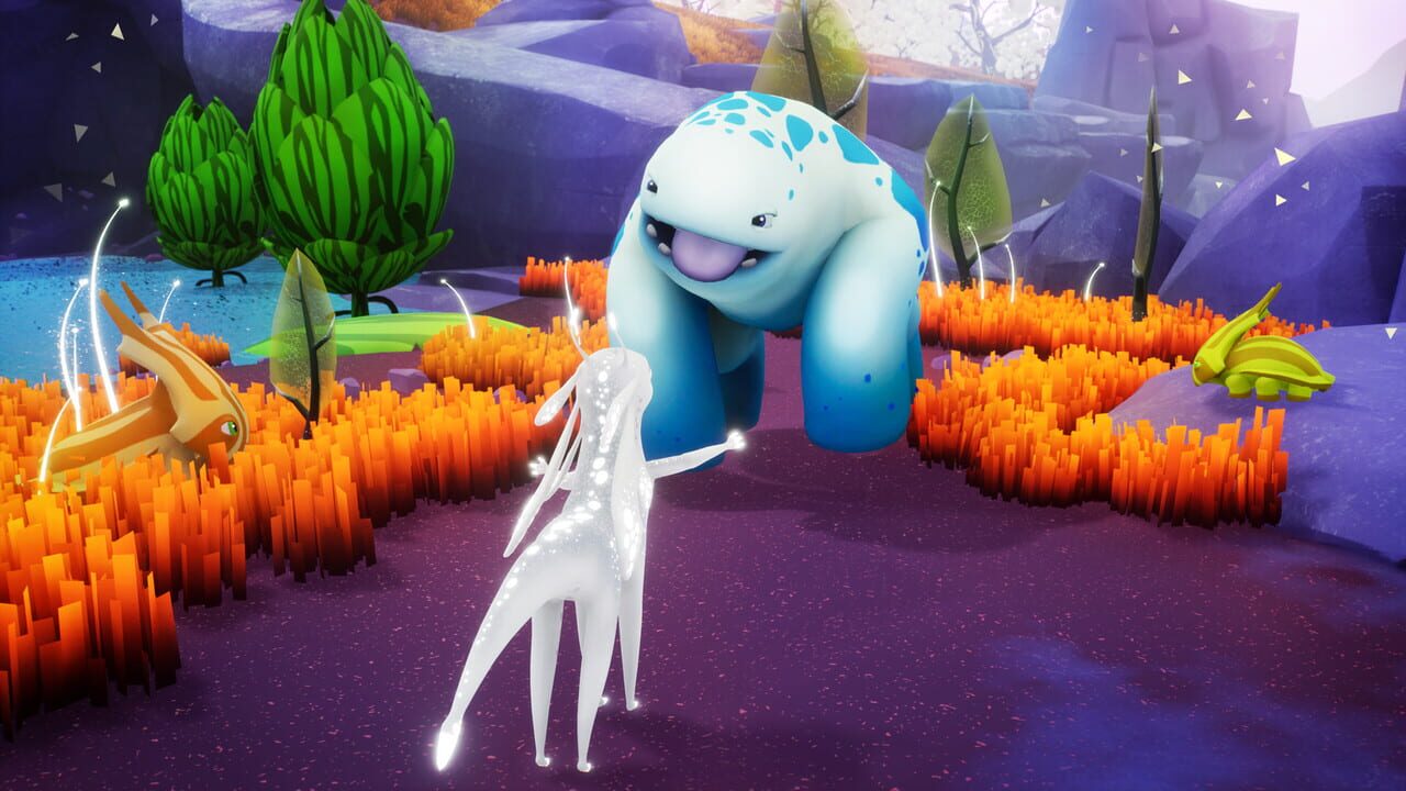 Sayri: The Beginning