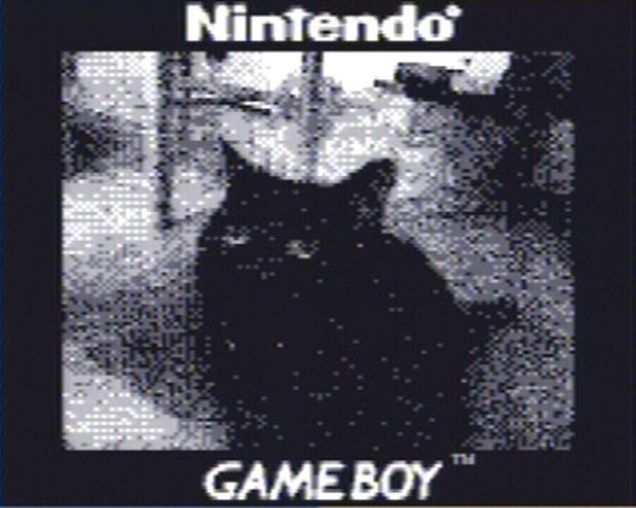 Game Boy Camera