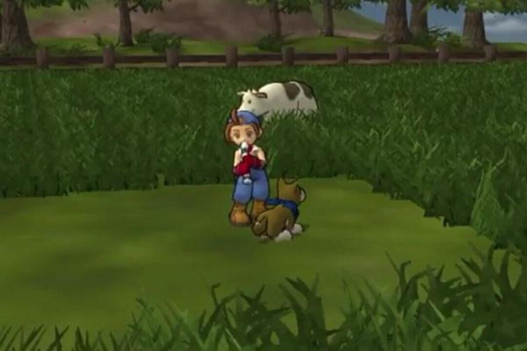 Harvest Moon: Save the Homeland