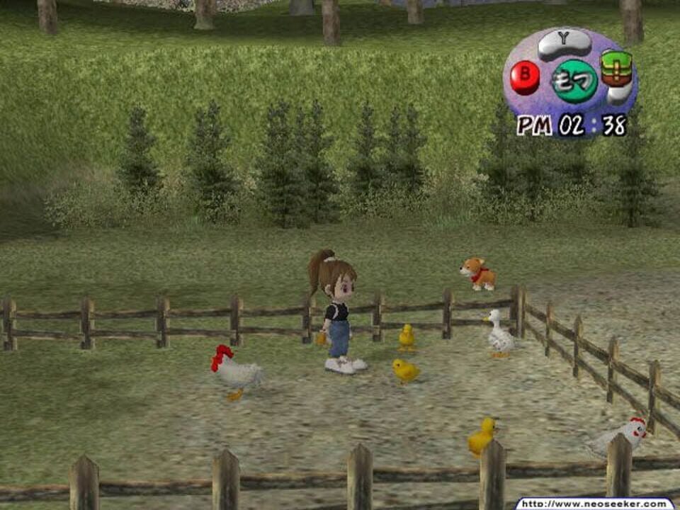 Harvest Moon: Another Wonderful Life