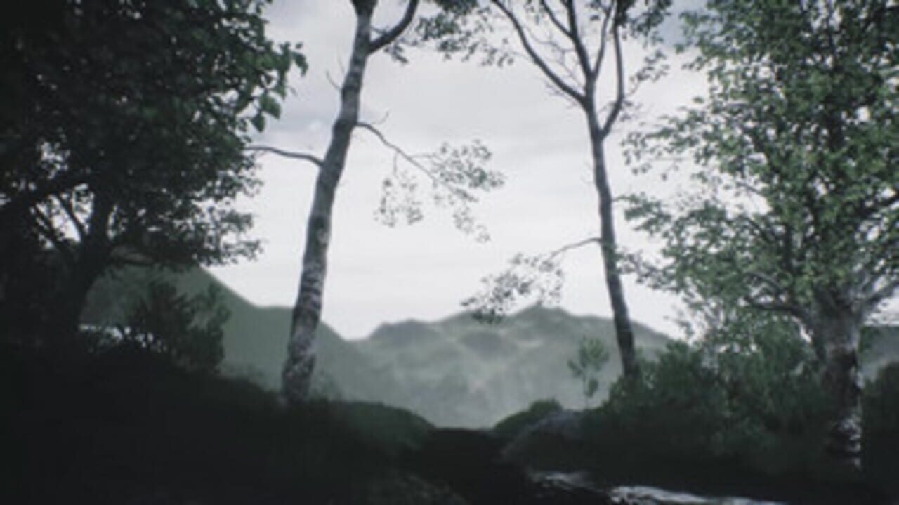 Scenic Forest Valley