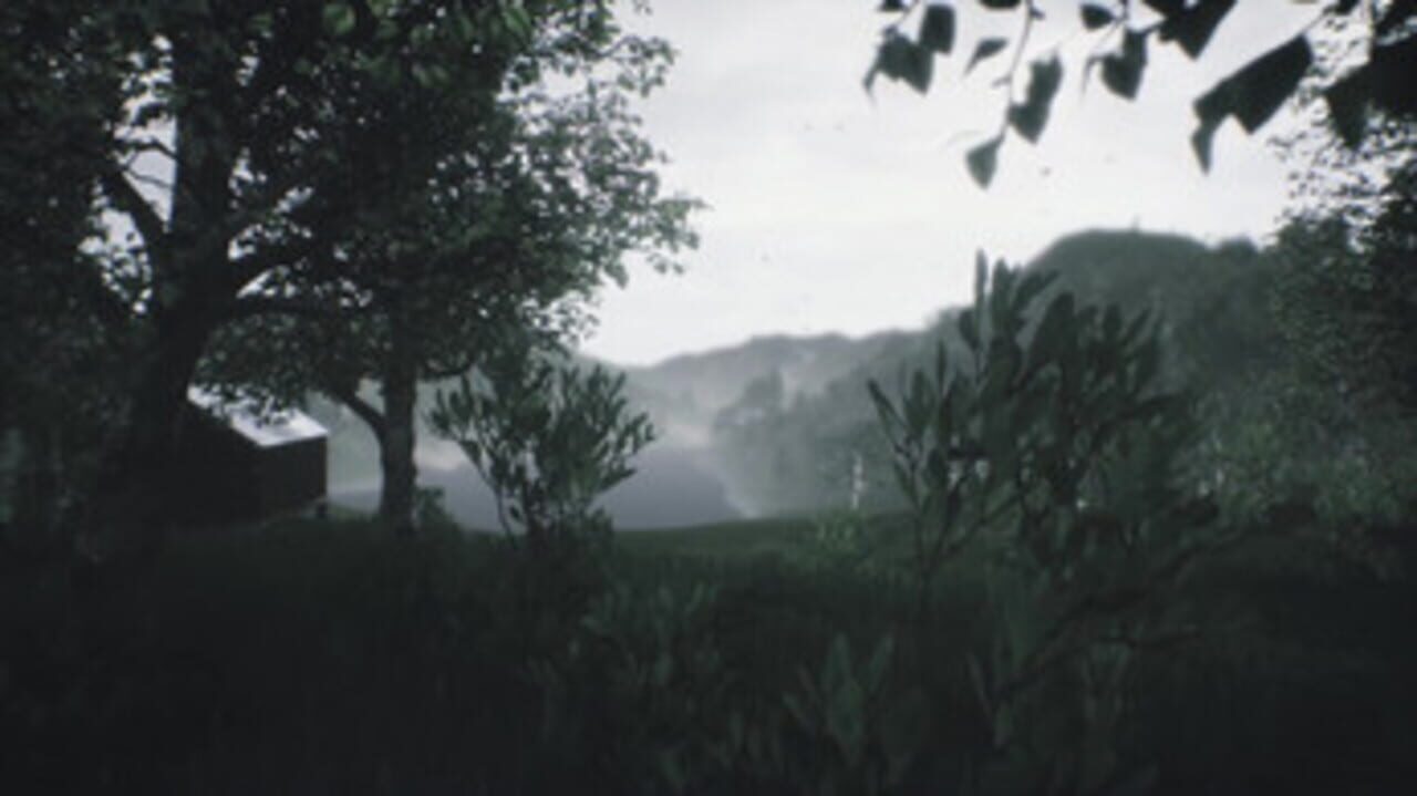 Scenic Forest Valley