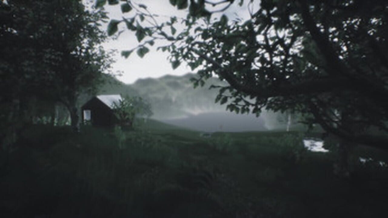 Scenic Forest Valley