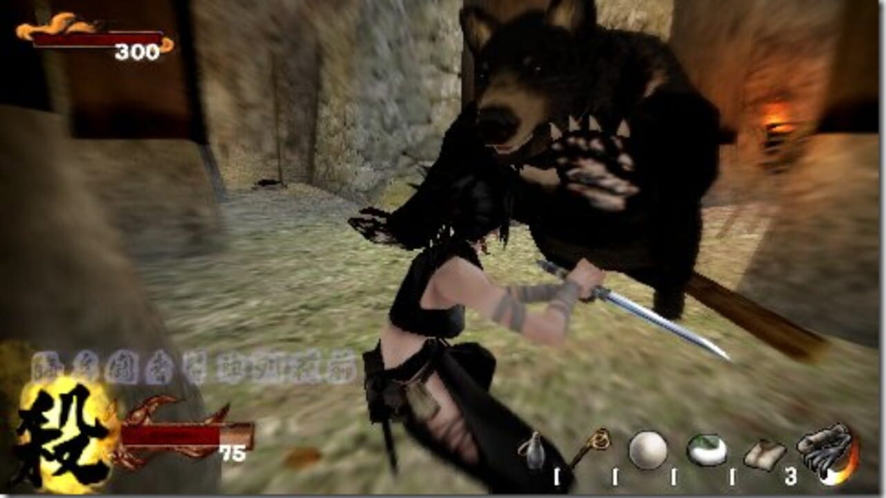 Tenchu 3 Portable