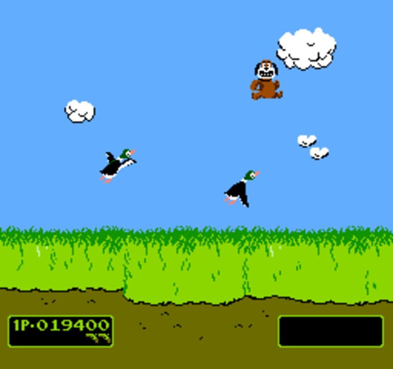 Vs. Duck Hunt