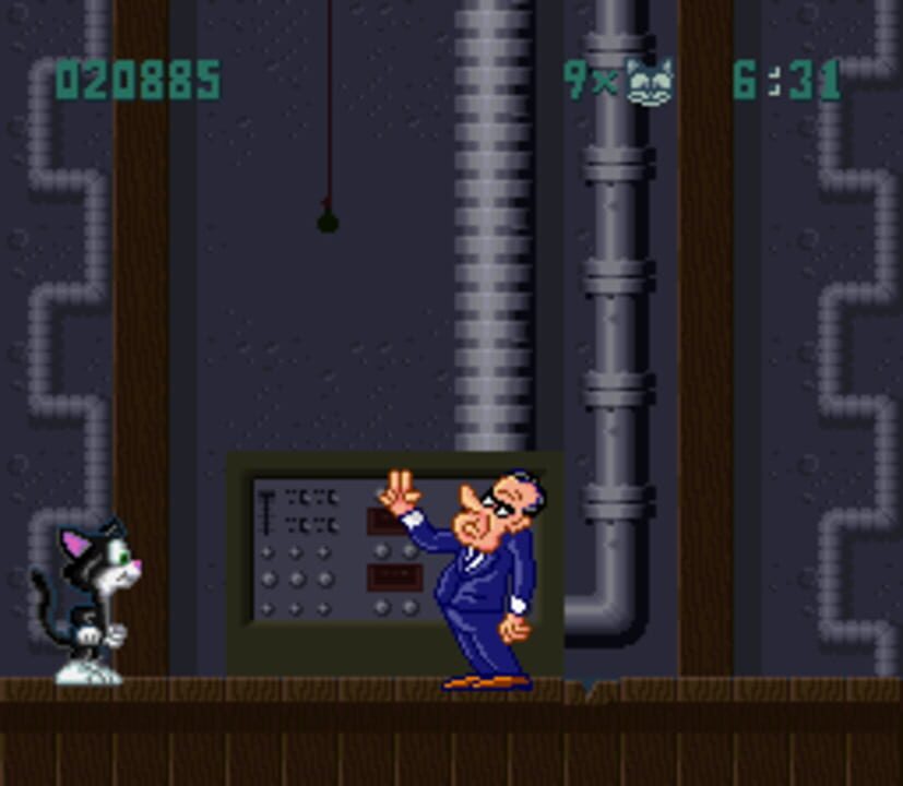 Socks the Cat Rocks the Hill