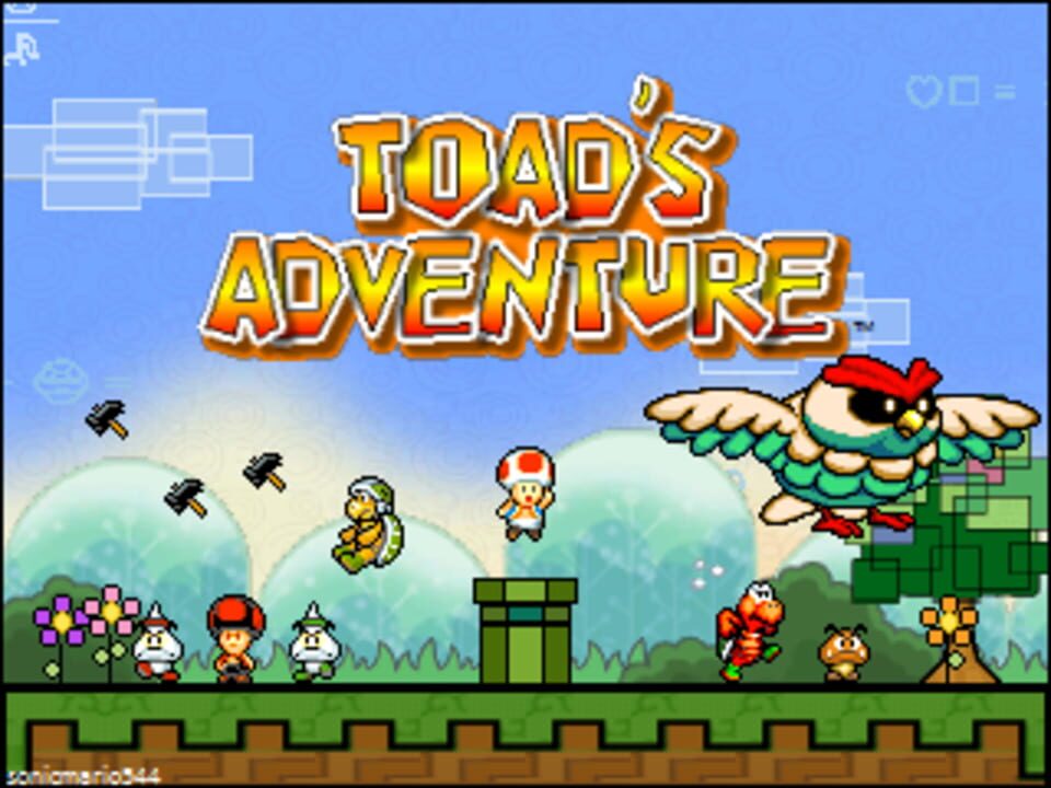 Toad’s Adventure