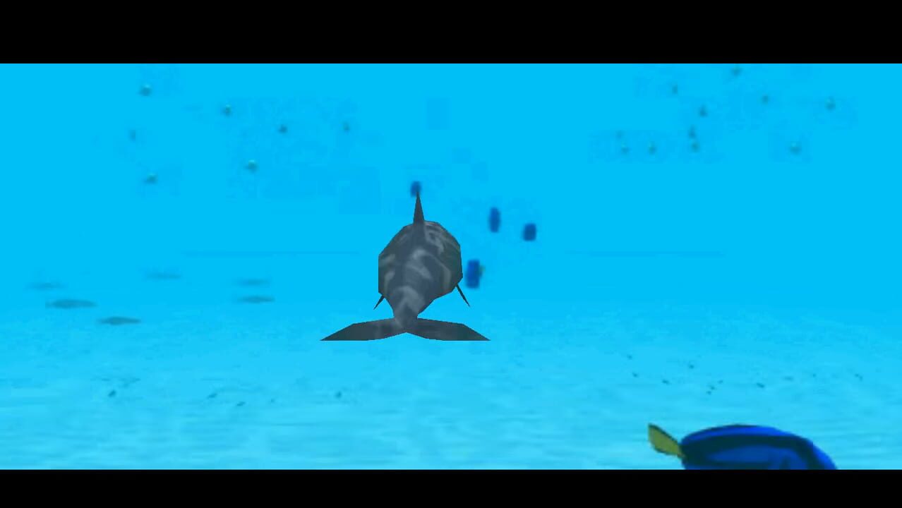 Fluid