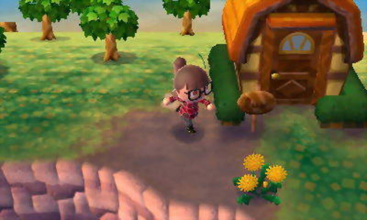 Animal Crossing: New Leaf – Premium Edition