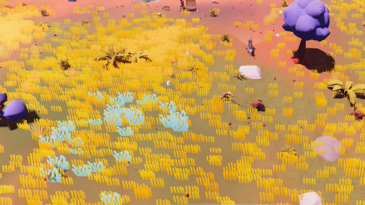 Wild Planet