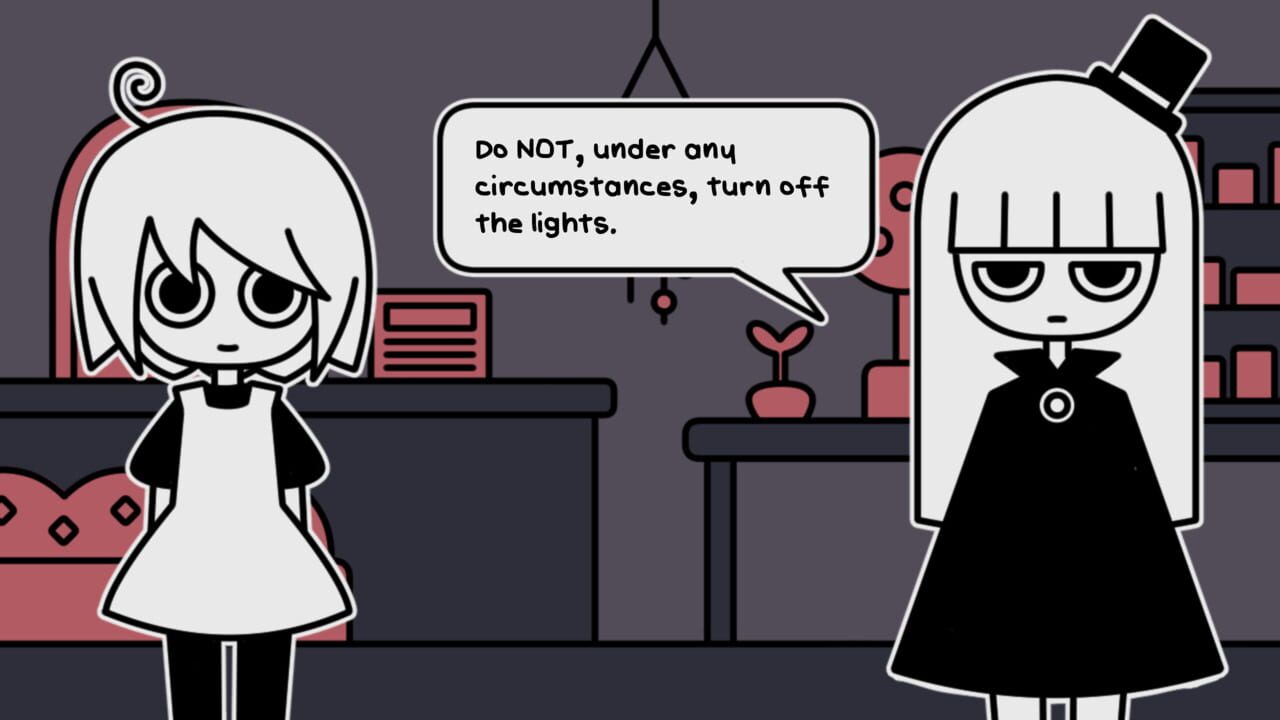 A pet shop after dark