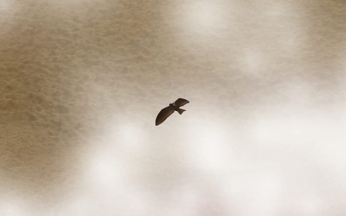 Brave Mouse Cartographer Trilogy