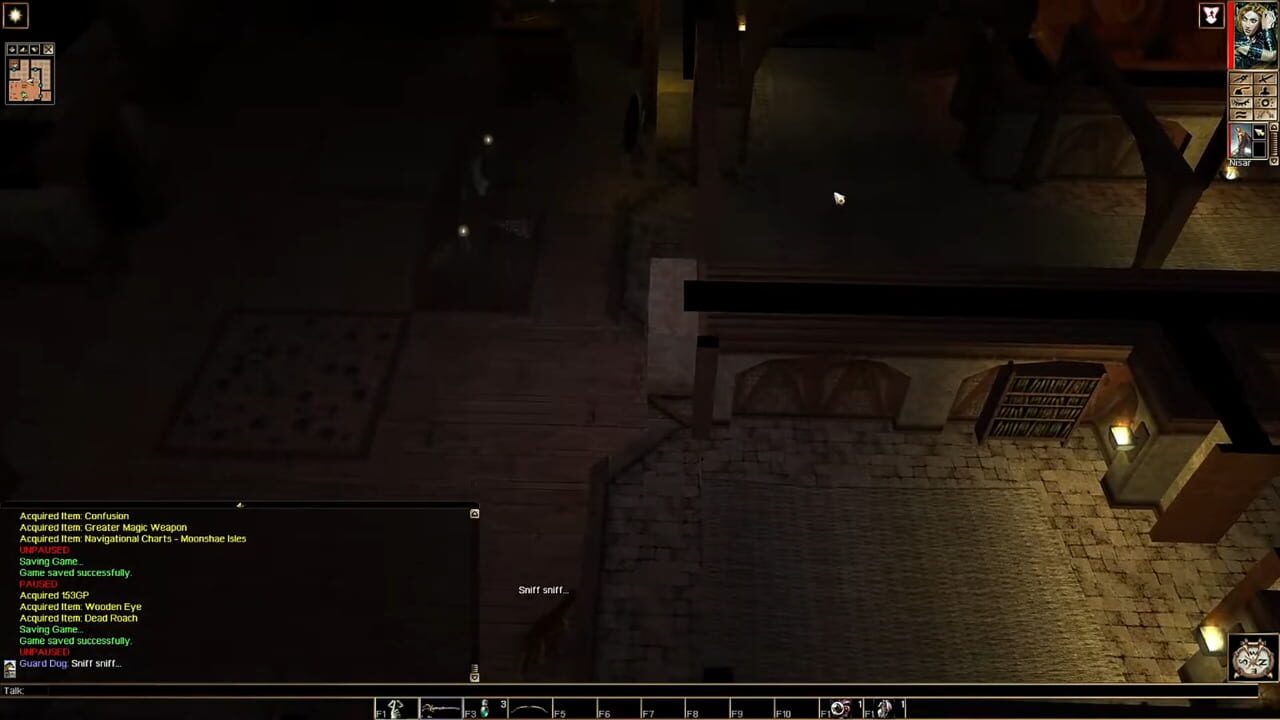 Neverwinter Nights: Pirates of the Sword Coast