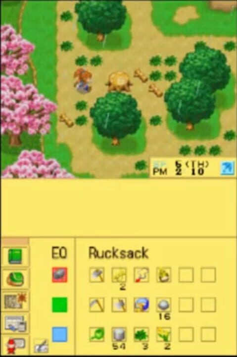 Harvest Moon DS Cute