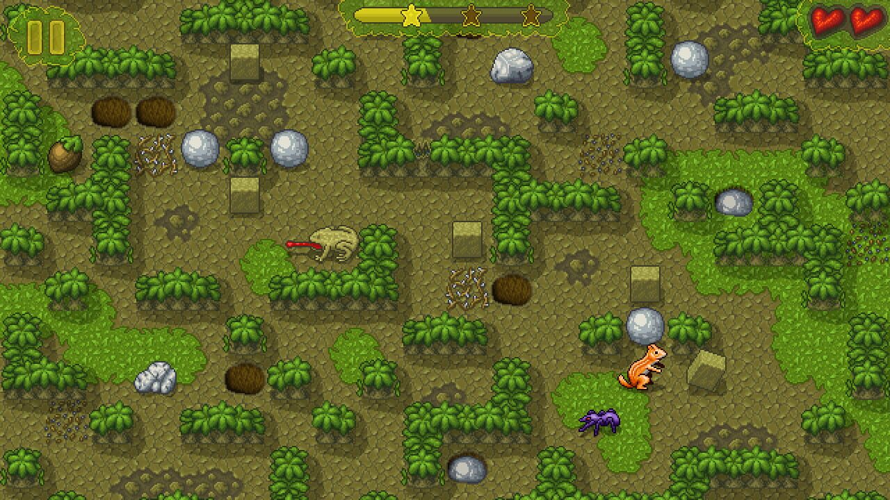 Chipmunk’s Adventures